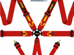 RRS Belt 6 Points w / New FIA Approval