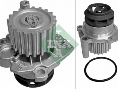 Water Pump INA 1.9 TDi