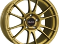 Butzi Odin Dourado 17X7