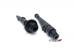 Arvores cames Skunk2 Stage2 (Honda S2000 99-09)